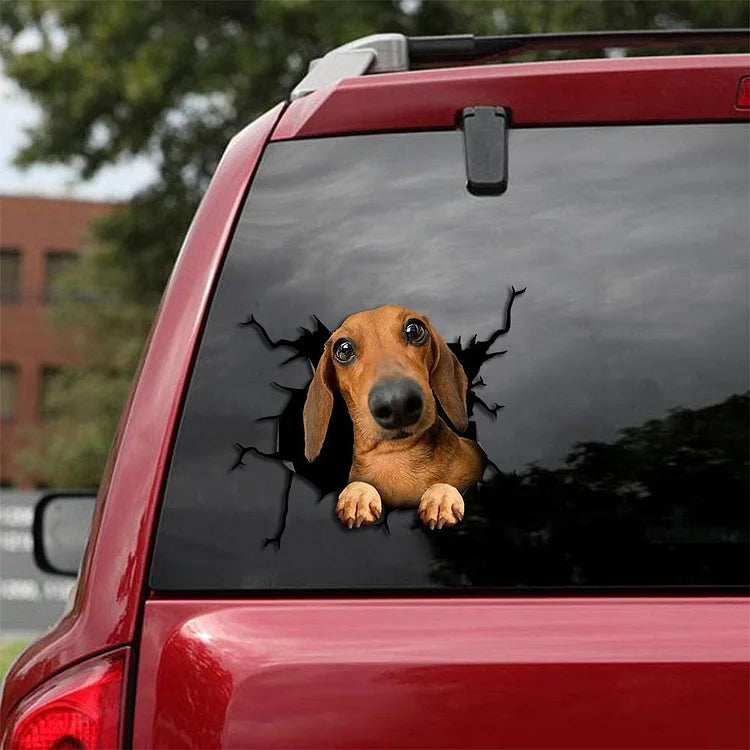 Dachshund Crack Car Sticker, Toilet Sticker, Fridge Sticker (20)