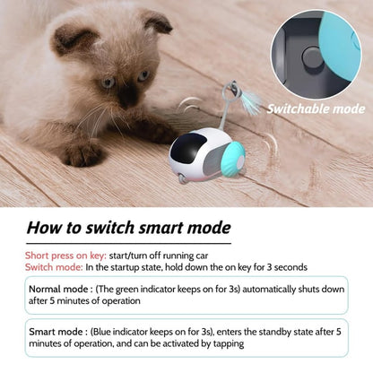 😻Automatic Cat Toy