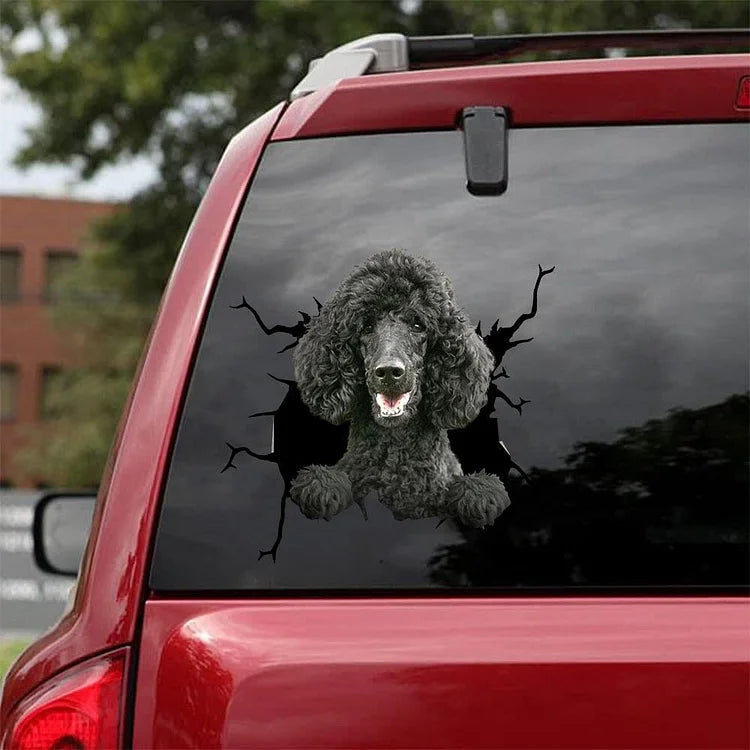 Pegatina para coche con grieta de caniche, pegatina para inodoro, pegatina para nevera 38