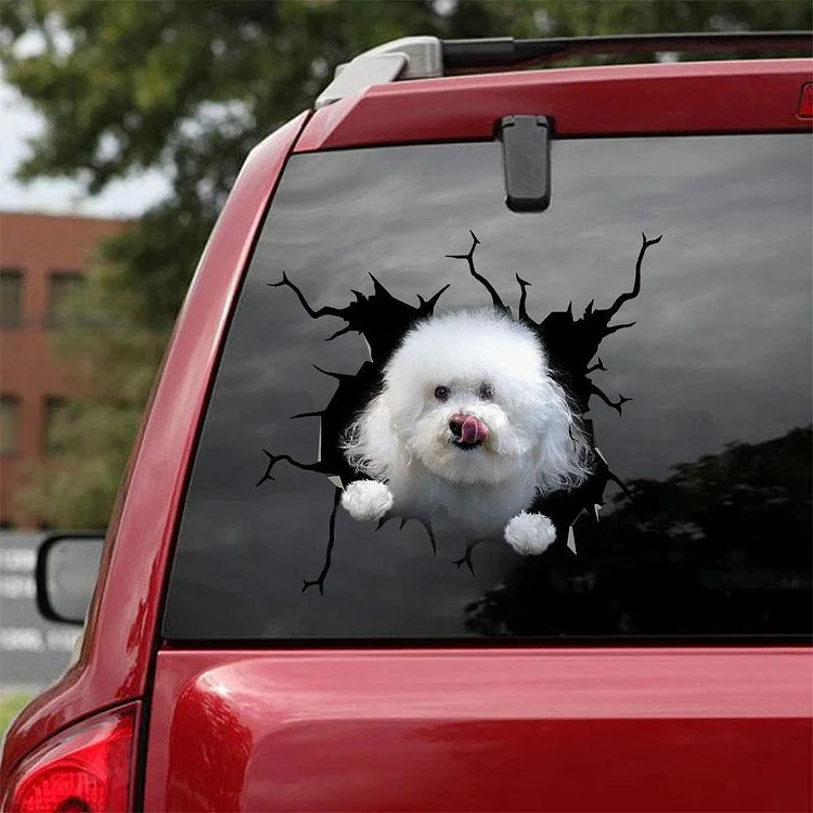 Bichon Frise Crack Car Sticker, Toilet Sticker, Fridge Sticker 9