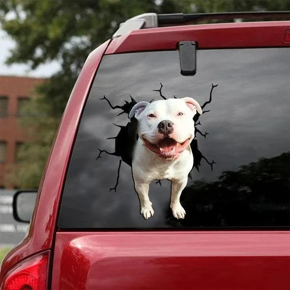 AUTOCOLLANT DE VOITURE PITBULL CRACK AMANT DE CHIENS 2