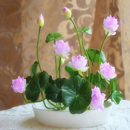 The Sacred Bonsai Bowl Lotus Flower