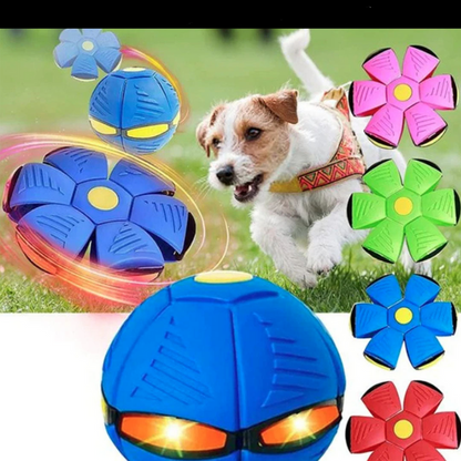 AirBall - Interactive Ball for Dogs