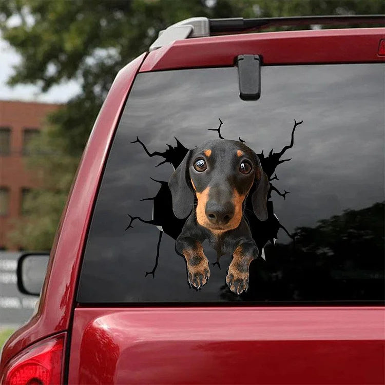 Dachshund Crack Car Sticker, Toilet Sticker, Fridge Sticker (15)