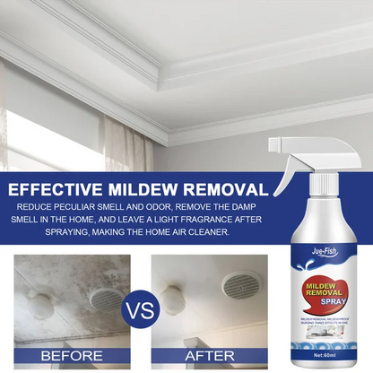 Highly Effective Mould Removal Spray - Prevents Mould Regrowth🦠