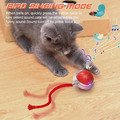 🐱🐶Automatic LED Interactive Pet Toys Ball🔥Buy 3 Free Shipping