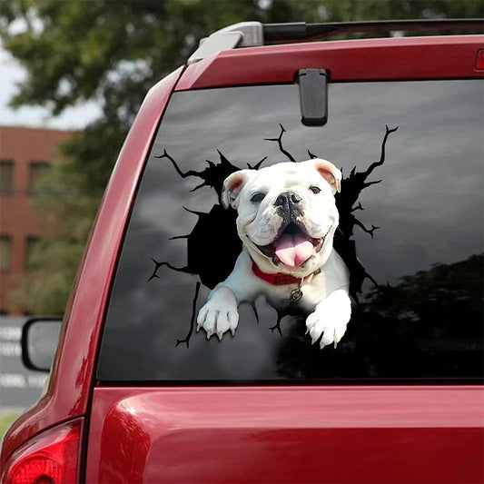 Bulldog English Bulldog Crack Car Sticker, Toilet Sticker, Fridge Sticker 18