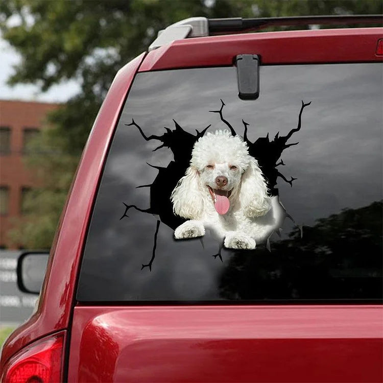 Autocollant drôle de voiture caniche 3