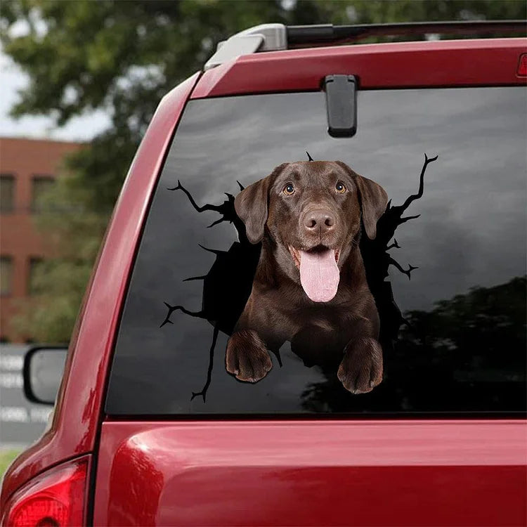 Chocolate Labrador Retriever Crack Car Sticker, Toilet Sticker, Fridge Sticker 8