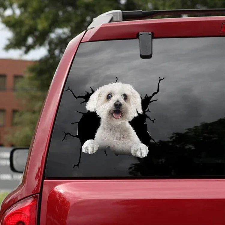 Bichon Frise Crack Car Sticker, Toilet Sticker, Fridge Sticker 4