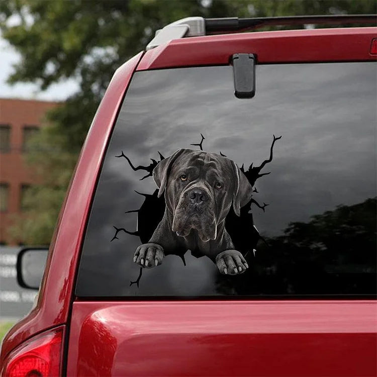 Cane Corso Crack Car Sticker, Toilet Sticker, Fridge Sticker 6