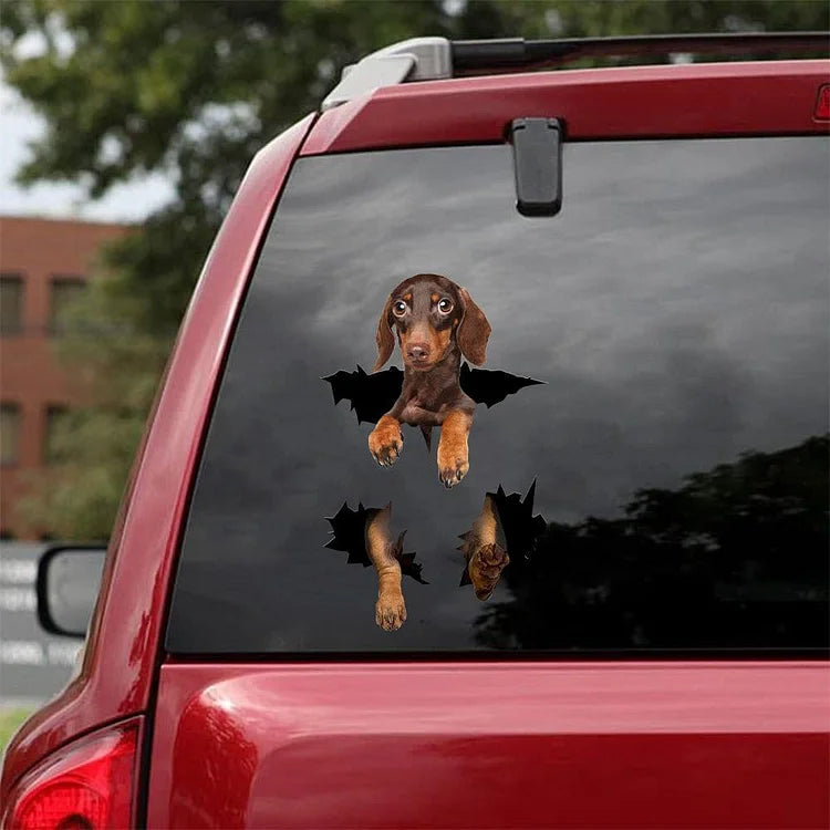 Dachshund Crack Car Sticker, Toilet Sticker, Fridge Sticker (34)