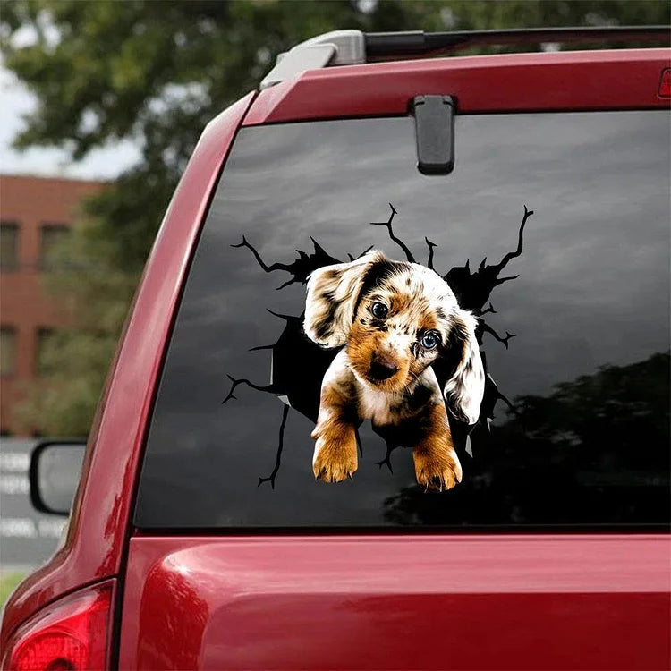 Dachshund Crack Car Sticker, Toilet Sticker, Fridge Sticker (3)