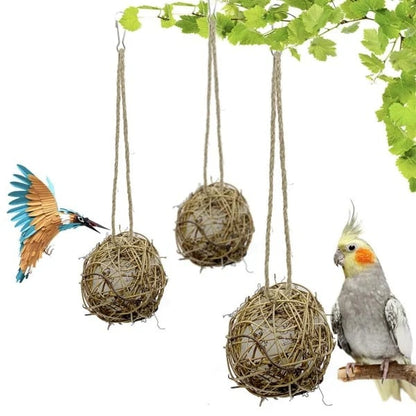 🌱 Spring Selection - Handmade Birdhouse And Birdhouse Materials