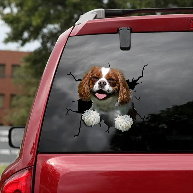 Cavalier King Charles Spaniel Crack Etiqueta Engomada Del Coche, Etiqueta Engomada Del Inodoro, Etiqueta Engomada Del Frigorífico 7