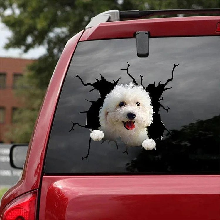 Bichon Frise Crack Car Sticker, Toilet Sticker, Fridge Sticker 8