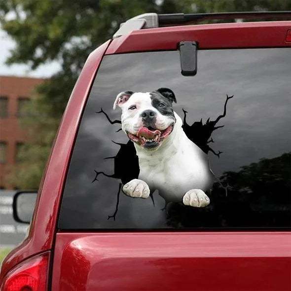 AUTOCOLLANT DE VOITURE PITBULL CRACK AMANT DE CHIENS 4