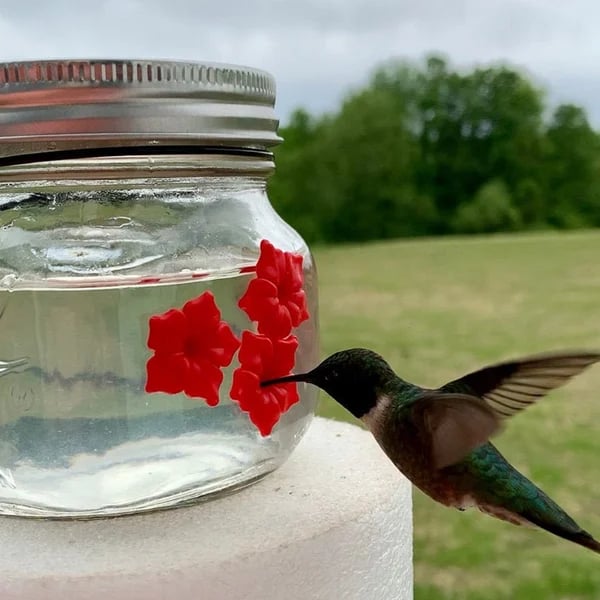 🔥Early Spring Promotions 49% OFF-Beautiful Mason Jar Hummingbird Feeder w/Three Ports