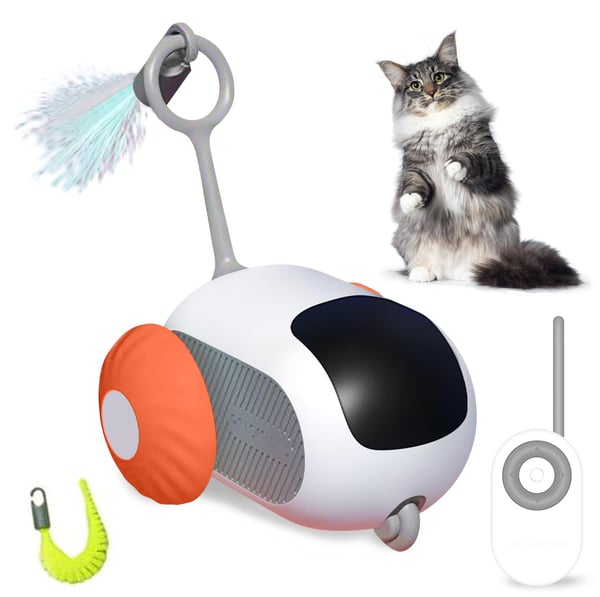 😻Jouet automatique pour chat 