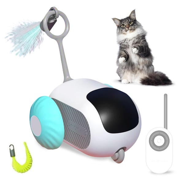 😻Jouet automatique pour chat 