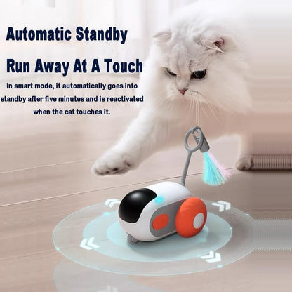 😻Jouet automatique pour chat 