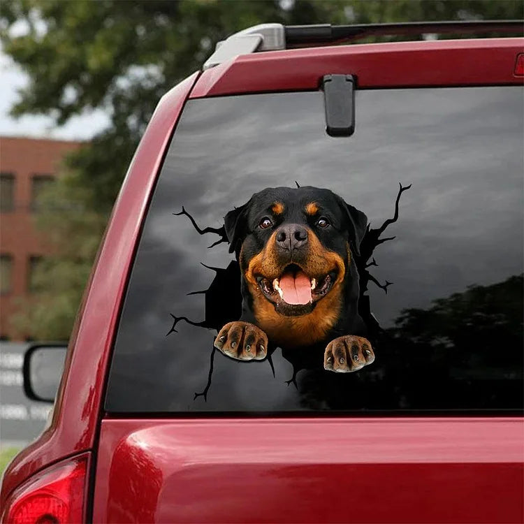 AUTOCOLLANT DE VOITURE FISSURE ROTTWEILER 13