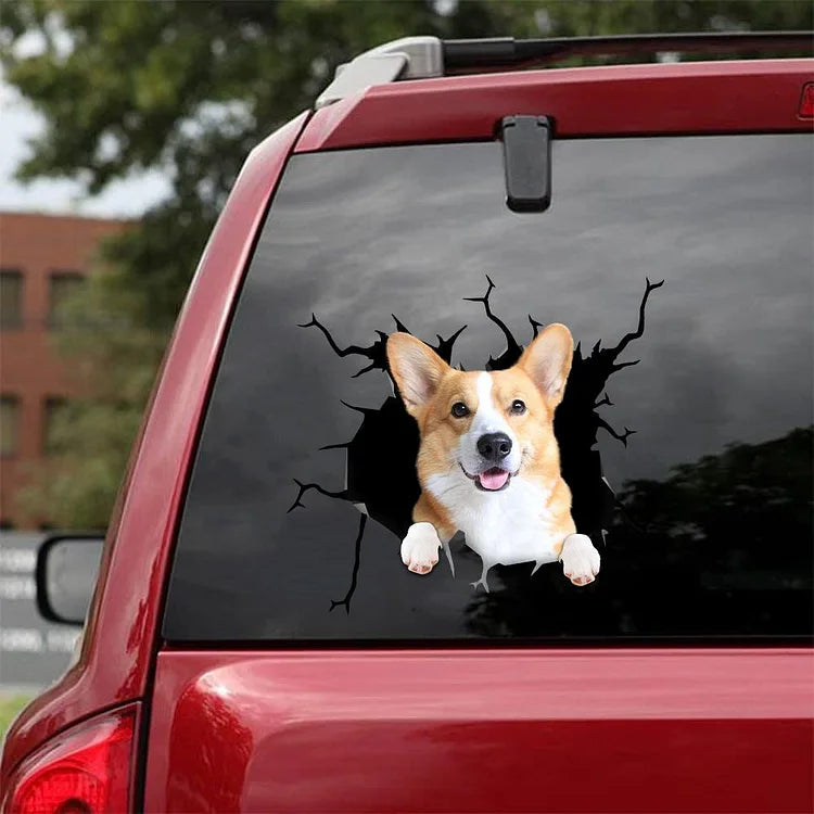 Welsh Corgi Crack Car Sticker, Toilet Sticker, Fridge Sticker 22