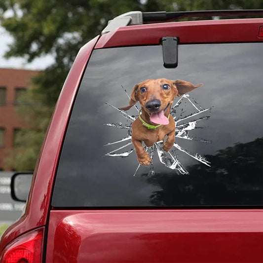 Pegatina para coche Dachshund Crack