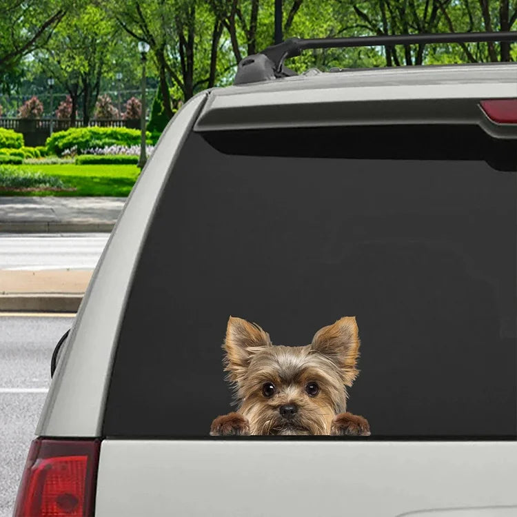 Can You See Me Now Yorkshire Terrier Sticker V1