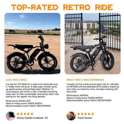 Electric Bike Peak Power 1500W