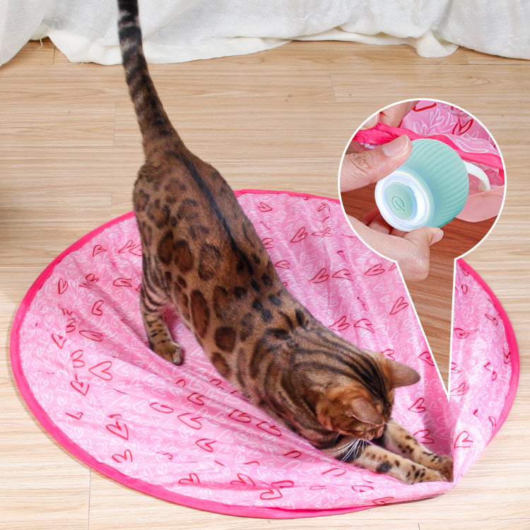 ⏰Clearance Blowout💥2 in 1 Simulated Interactive hunting cat toy