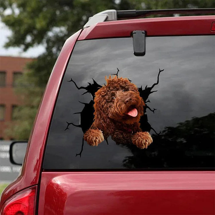 AUTOCOLLANT DE VOITURE FISSURE LABRADOODLE 11