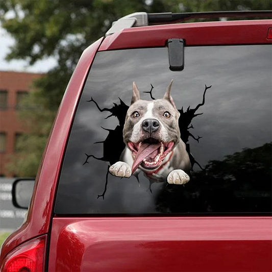 AUTOCOLLANT DE VOITURE PITBULL CRACK AMANT DE CHIENS 3