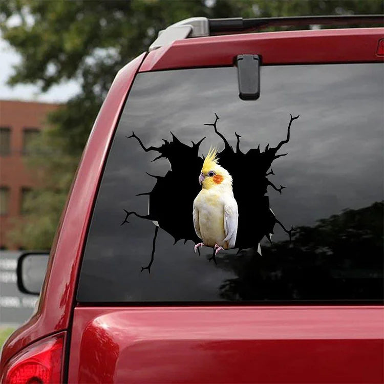 AUTOCOLLANT DE VOITURE CRACK PERROQUET AMANT DES OISEAUX 15