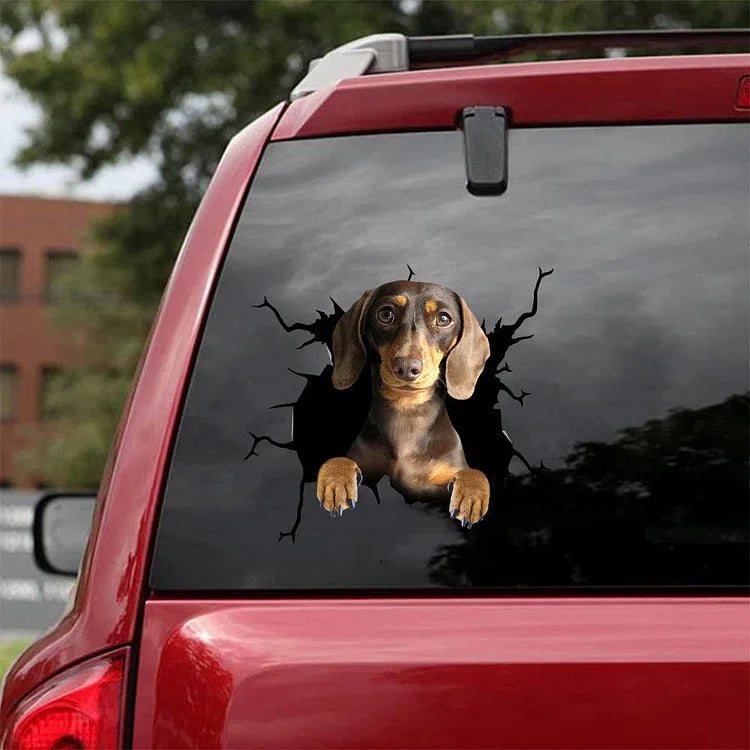 Dachshund Crack Car Sticker, Toilet Sticker, Fridge Sticker (44)