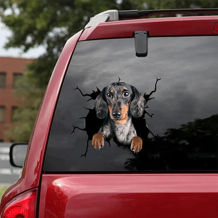 Dachshund Crack Car Sticker, Toilet Sticker, Fridge Sticker (46)