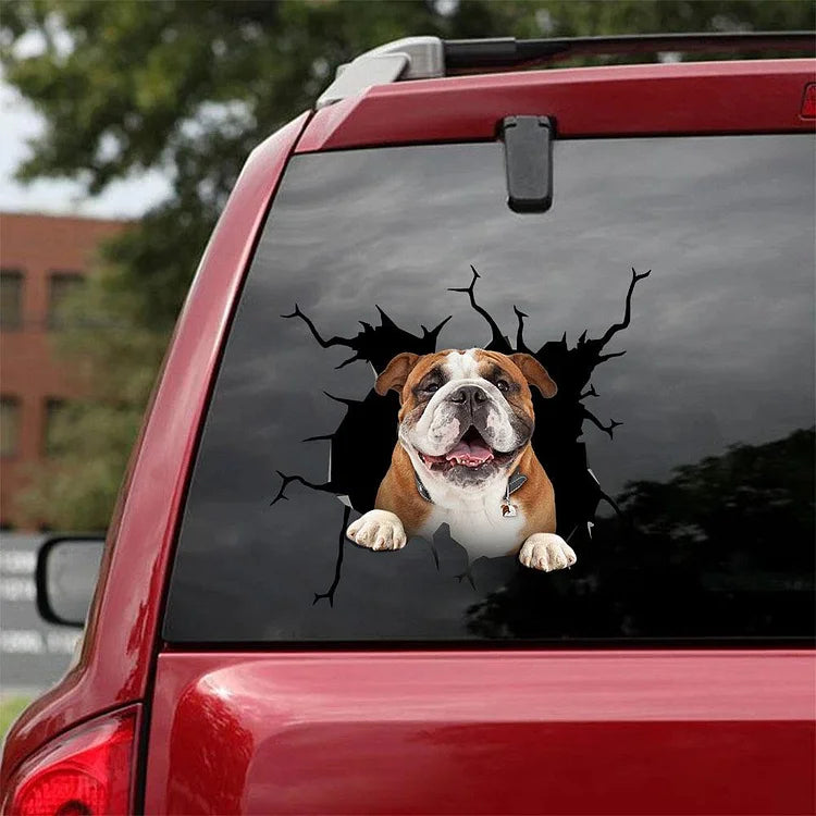 Bulldog Inglés Bulldog Crack Etiqueta Engomada Del Coche, Etiqueta Engomada Del Inodoro, Etiqueta Engomada Del Frigorífico 3