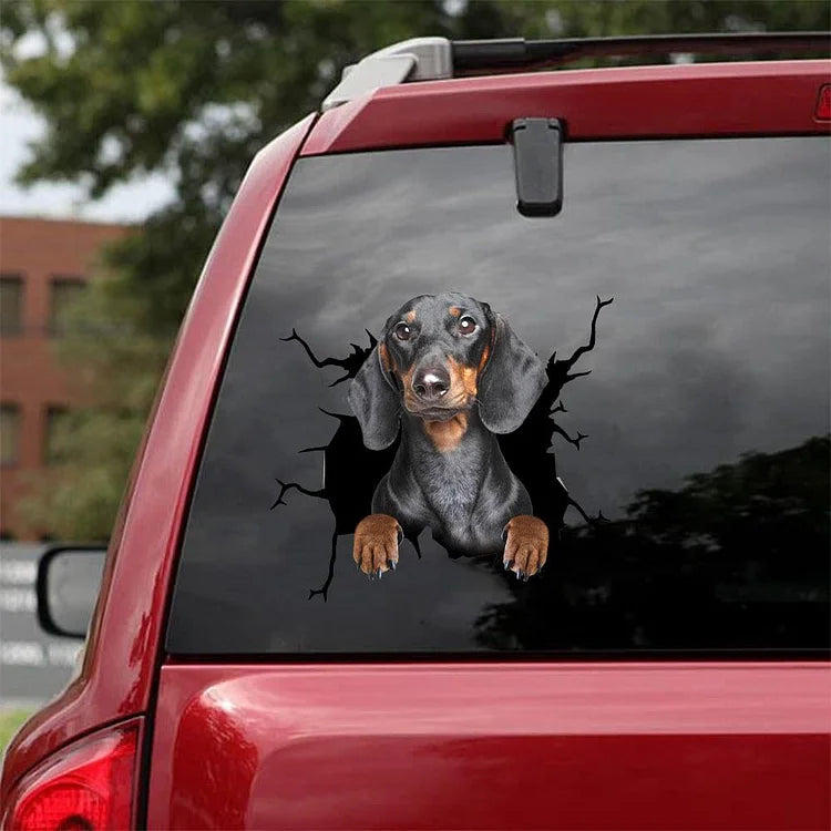 Dachshund Crack Car Sticker, Toilet Sticker, Fridge Sticker (48)