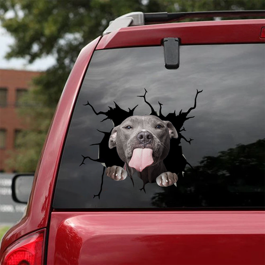 Pitbull Crack Car Sticker