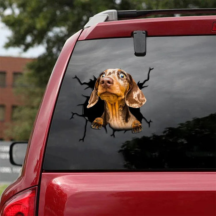 Dachshund Crack Car Sticker, Toilet Sticker, Fridge Sticker (29)