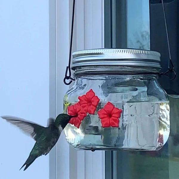 🔥Early Spring Promotions 49% OFF-Beautiful Mason Jar Hummingbird Feeder w/Three Ports