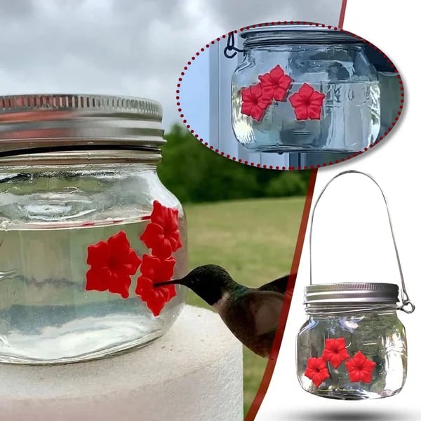 🔥Promociones de principios de primavera 49 % de descuento: hermoso comedero para colibríes Mason Jar con tres puertos 