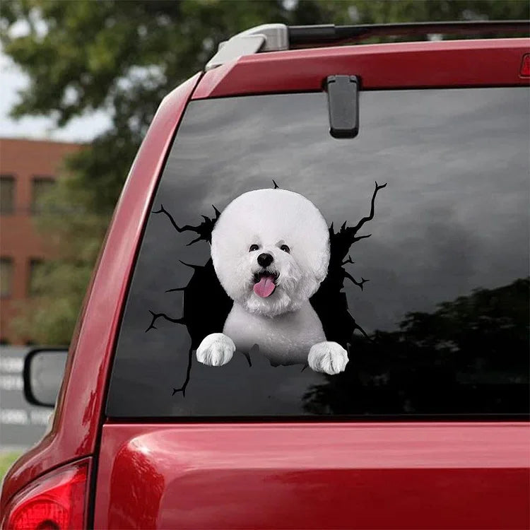 Bichon Frise Crack pegatina para coche, pegatina para inodoro, pegatina para nevera 3