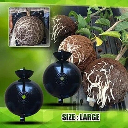 🌱Plant Root Growing Box