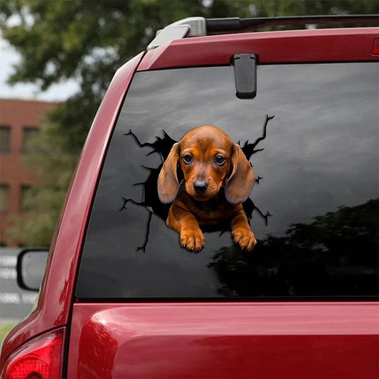 Dachshund Crack Car Sticker, Toilet Sticker, Fridge Sticker (53)