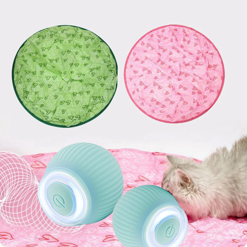 ⏰Clearance Blowout💥2 in 1 Simulated Interactive hunting cat toy