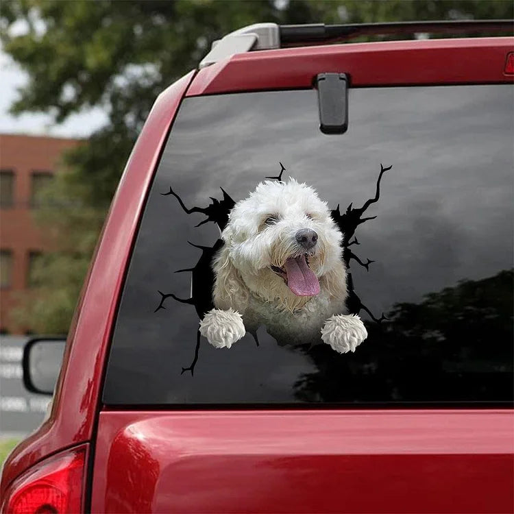 AUTOCOLLANT DE VOITURE FISSURE LABRADOODLE 12