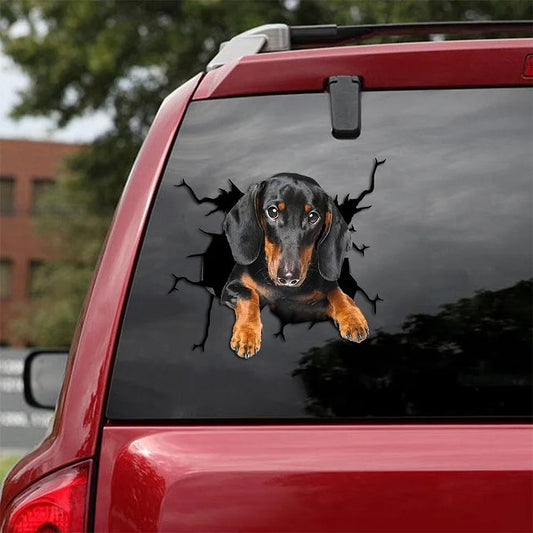 Dachshund Crack Car Sticker, Toilet Sticker, Fridge Sticker (52)