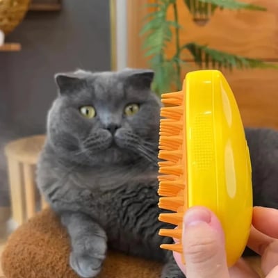 😻 VENTE CHAUDE 😻 Brosse pour Chat Steamy