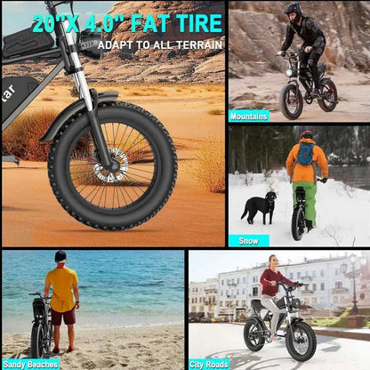 Electric Bike Peak Power 1500W